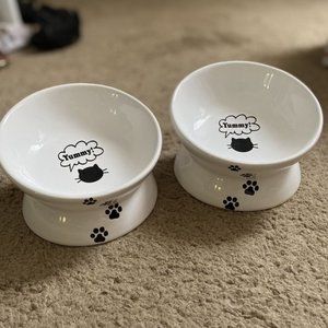 Cat food bowls